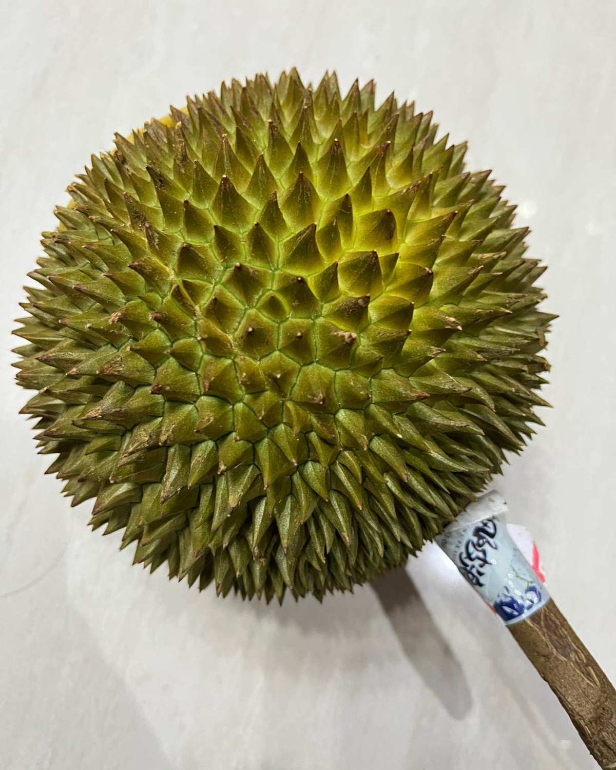 🧸前两天开的长柄猫山王榴莲，一直没分享味道，今天说说长柄的
