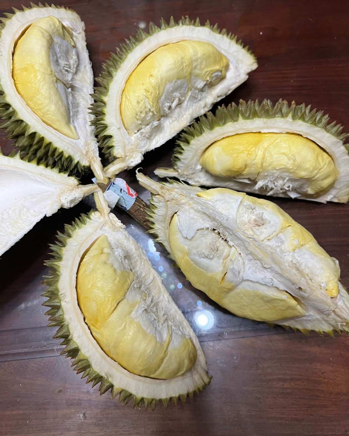 🧸前两天开的长柄猫山王榴莲，一直没分享味道，今天说说长柄的