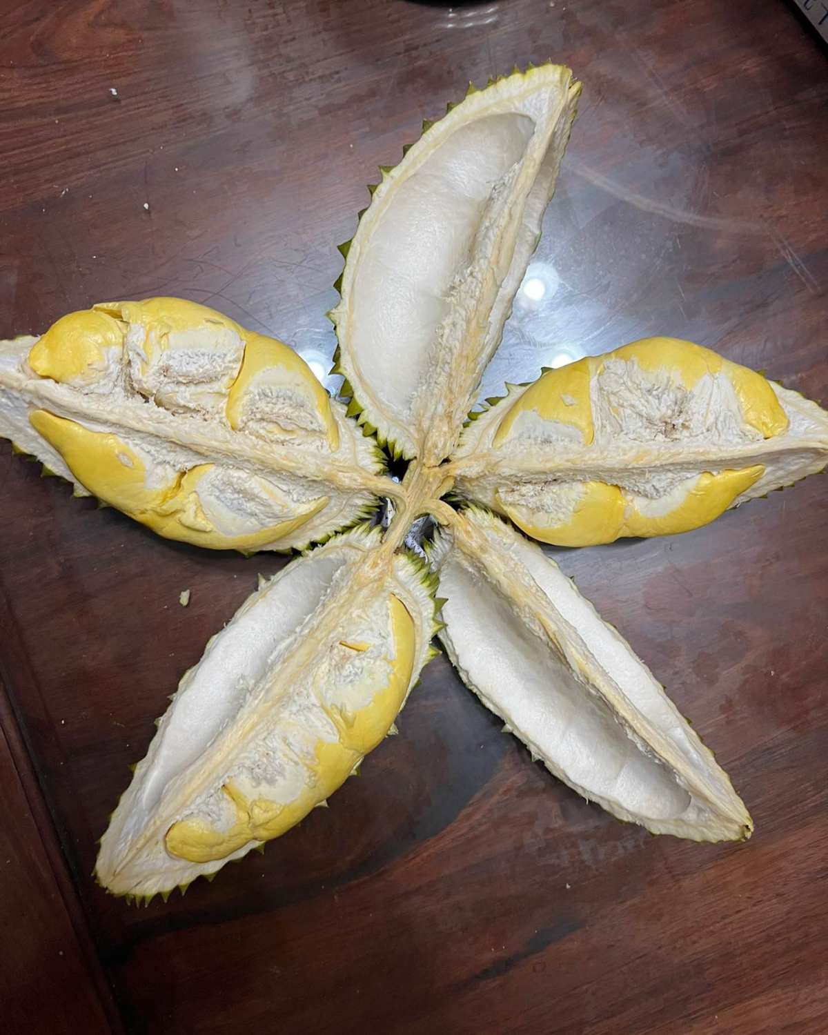🧸一直想吃的尖竹汶3号终于蹲直播蹲到了，这个月吃榴莲了花了