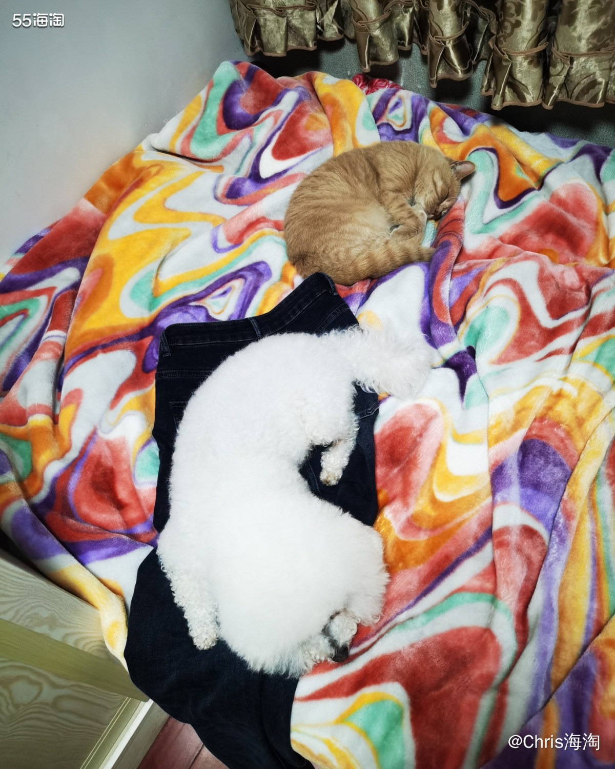 昨天那套衣服被我妈嫌弃了，太运动风，太黑不溜秋(￣(エ)￣)