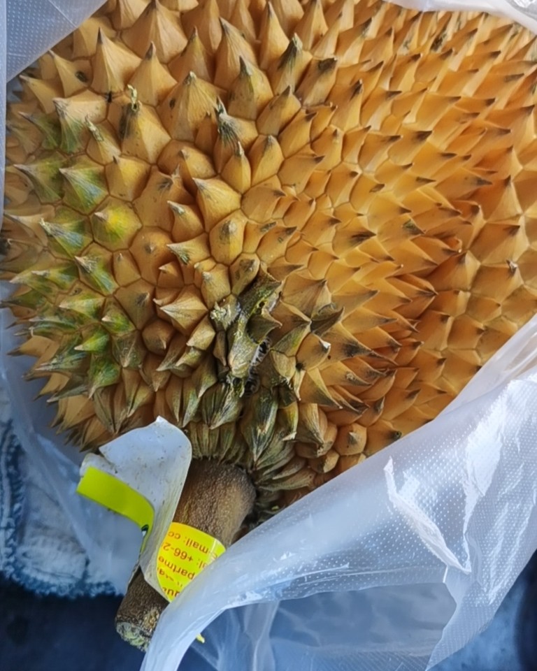 ✅下午带娃散步，路过水果店有榴莲的香味飘出来 果断的来个榴莲