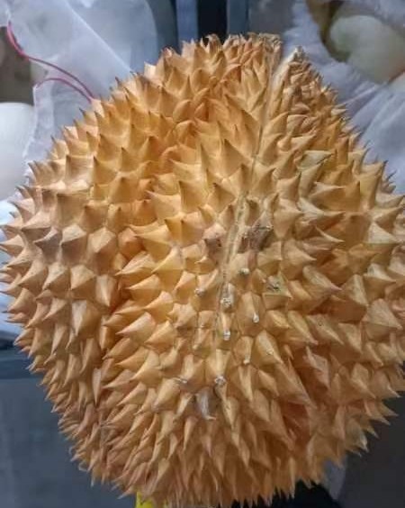 ✅下午带娃散步，路过水果店有榴莲的香味飘出来 果断的来个榴莲
