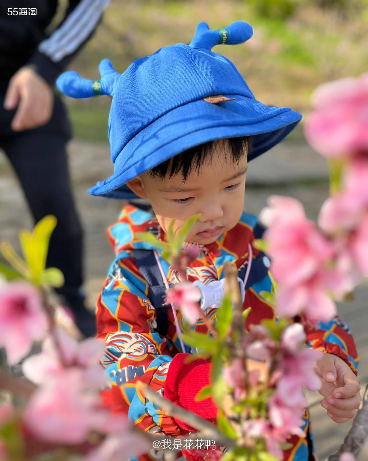 ❤️东北的桃花终于来了，不过天气还是有点变化无常，早晚还是很