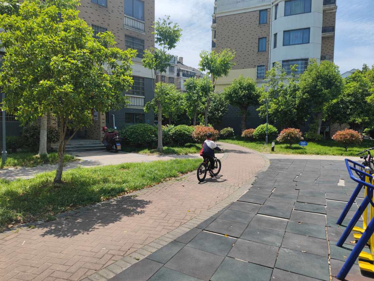 ◎今天偶然的机会在自家北房间的窗户沿上看见了一只小雏鸟，原谅
