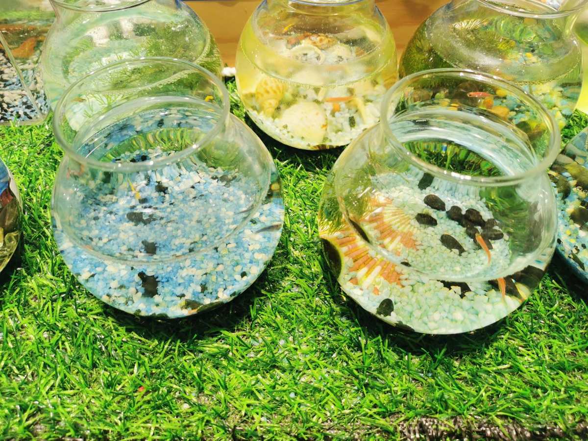 前几天看天气预报说今天会有大风大雨，结果睡醒了发现仍然是好天