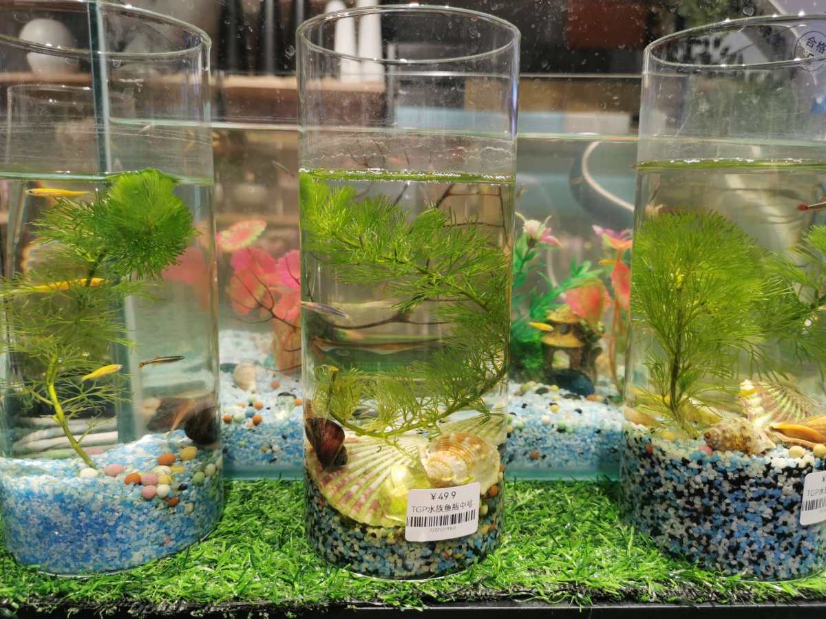 前几天看天气预报说今天会有大风大雨，结果睡醒了发现仍然是好天