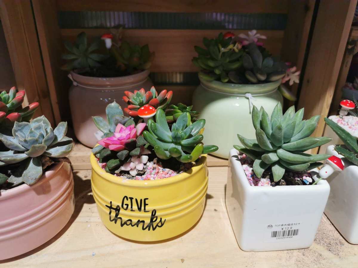 前几天看天气预报说今天会有大风大雨，结果睡醒了发现仍然是好天