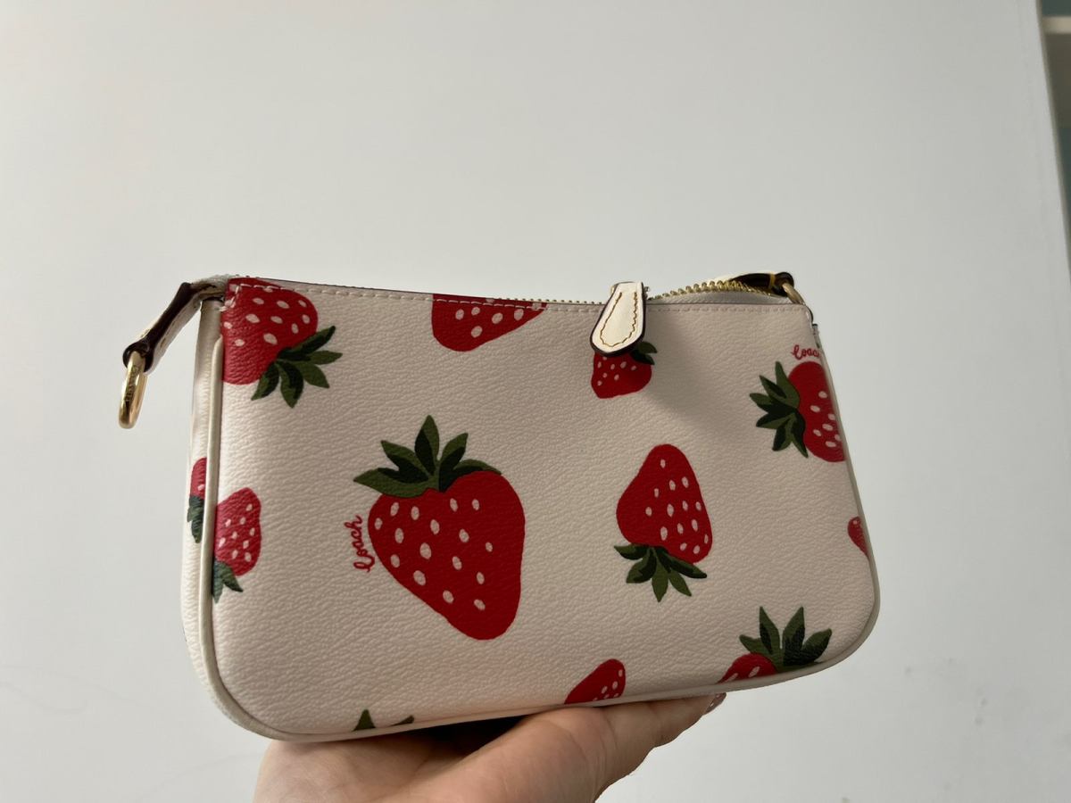 购买网站：coach奥莱 购买产品：nolita 19草莓印