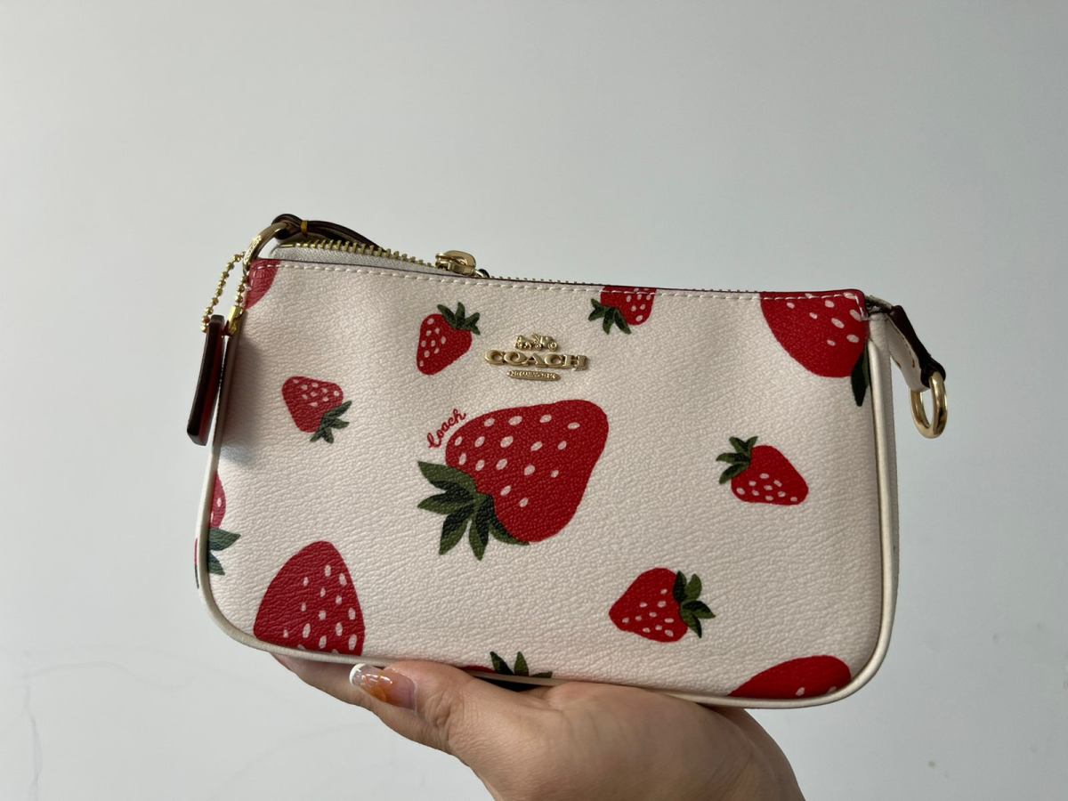 购买网站：coach奥莱 购买产品：nolita 19草莓印