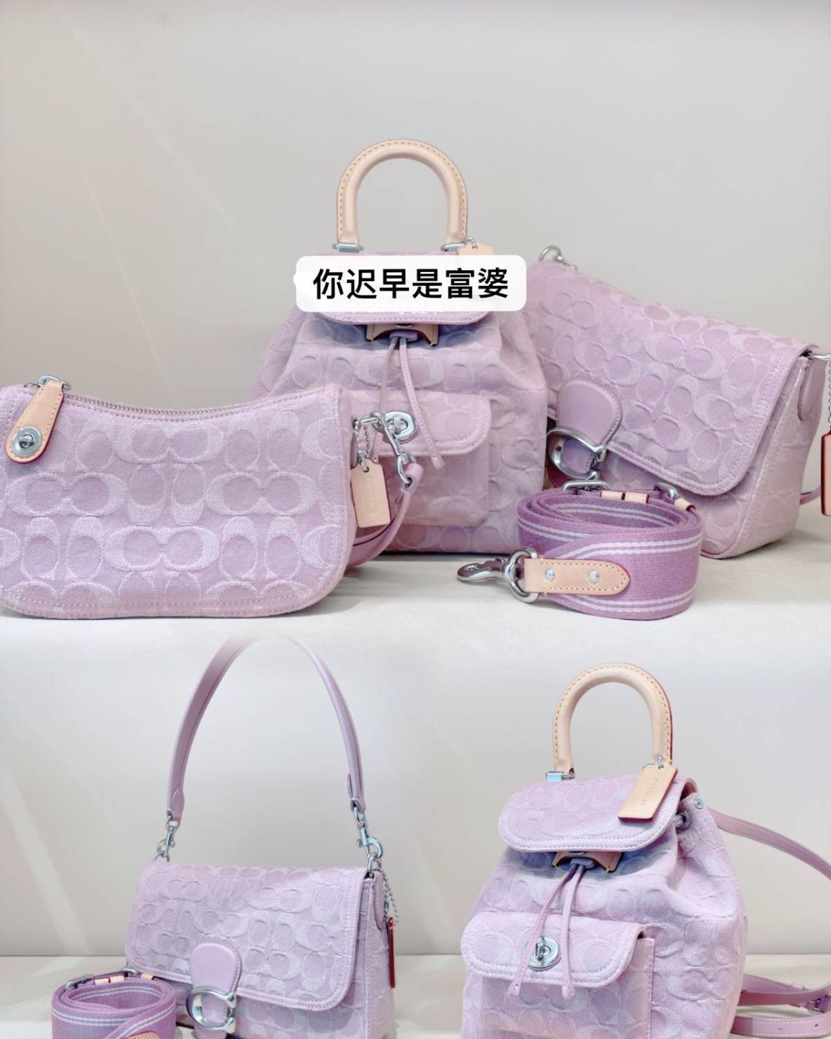 🇺🇸接预定，价美 COACH 2023牛仔系列 粉紫色也