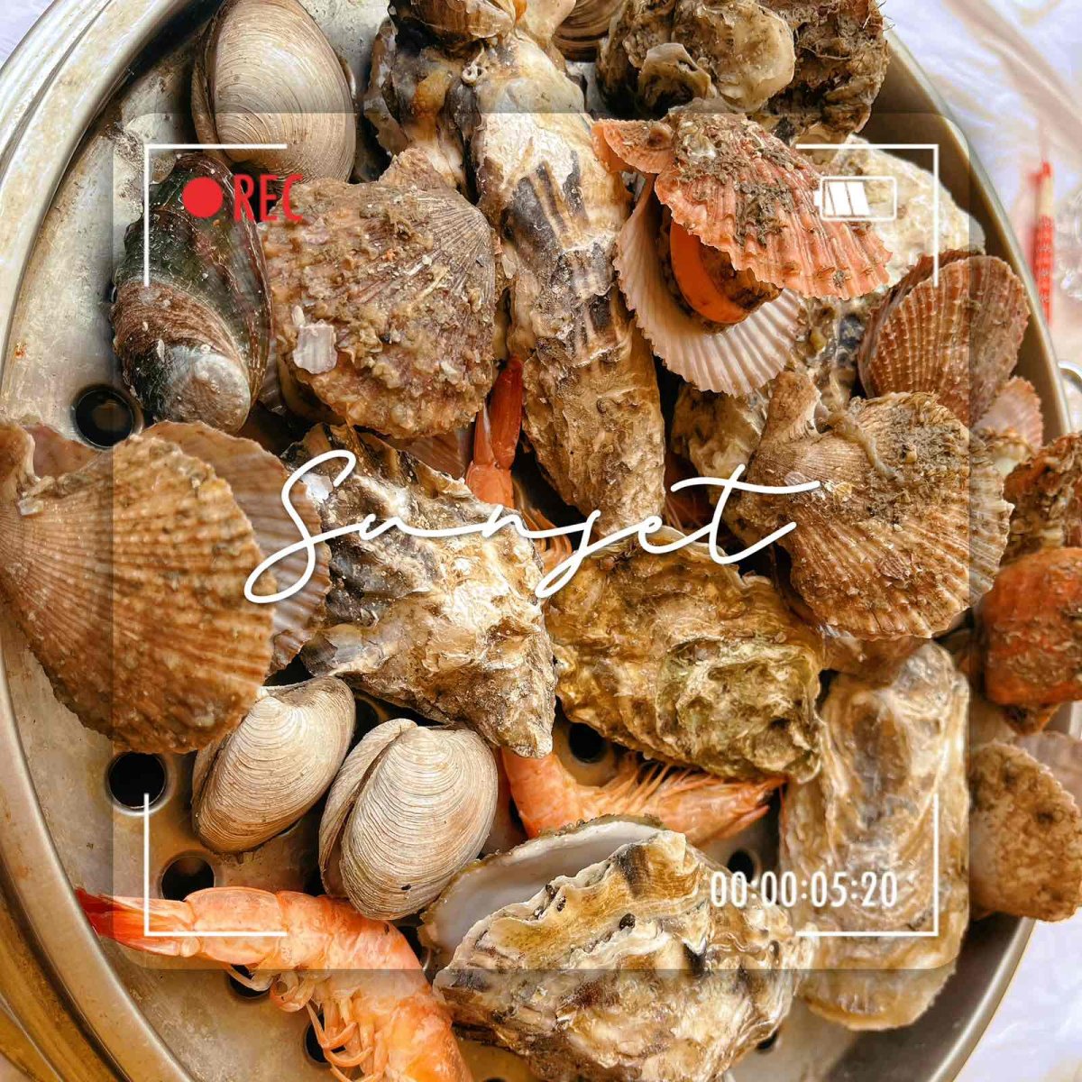 这山东人的美食，先不说好不好吃，这个分量是非常诚心的👍不仅