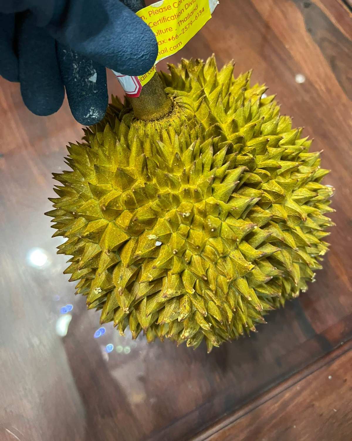 🧸在小🐷的榴莲铺直播间买的，忘记一斤多少钱了，好像是45