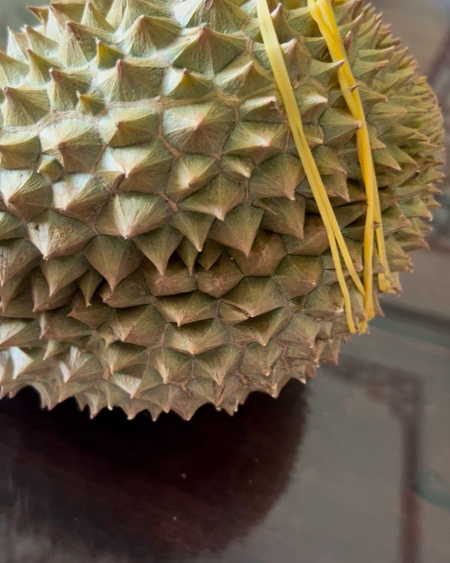 🧸在小明直播间买的榴莲部落的果-尖竹汶6号，68一斤，果型