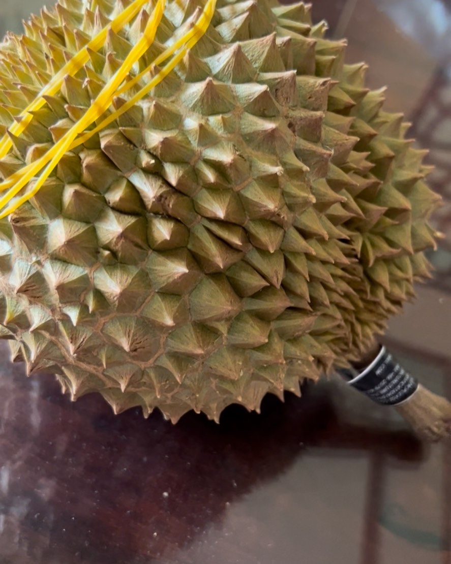 🧸在小明直播间买的榴莲部落的果-尖竹汶6号，68一斤，果型