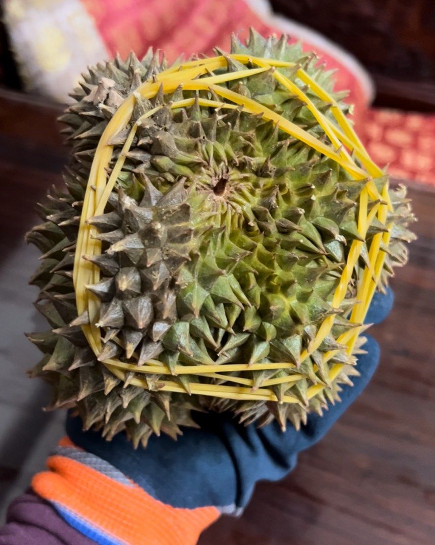 🧸前段时间在小🐷的榴莲铺直播间买的，品牌是榴莲部落的，榴