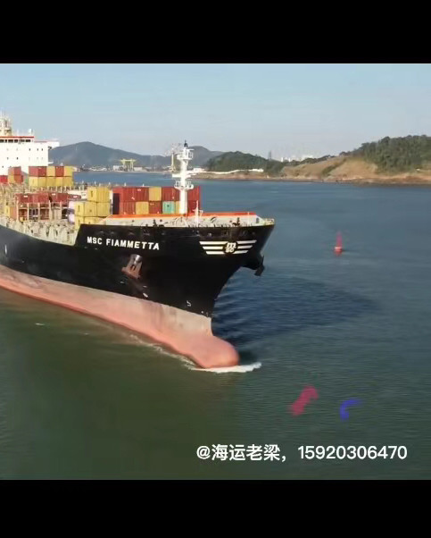 青岛到广州海运集装箱路线，船期海运费查询