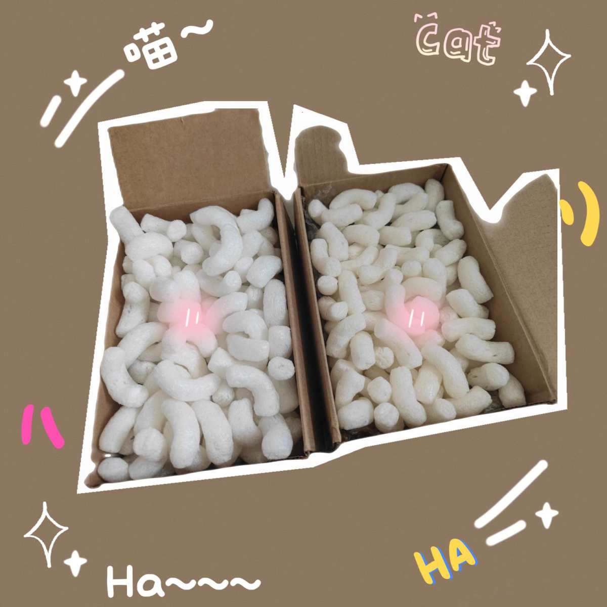 不得不说，上了飞机的包裹就是到货快~ 今天新鲜到货~这熟悉的