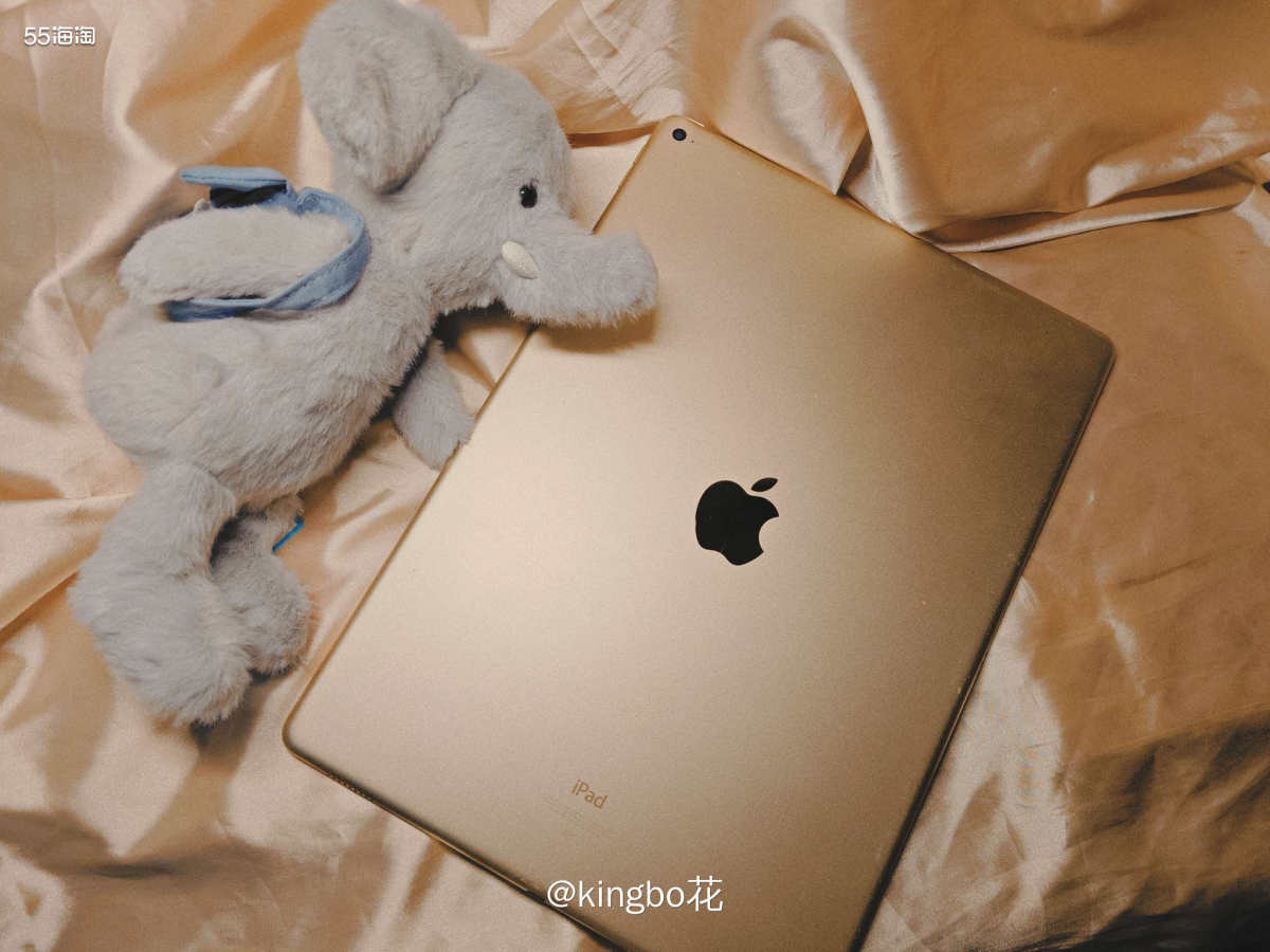 ⏺一代Ipad pro太耐用了！日常娱乐生活离不开，没有理由