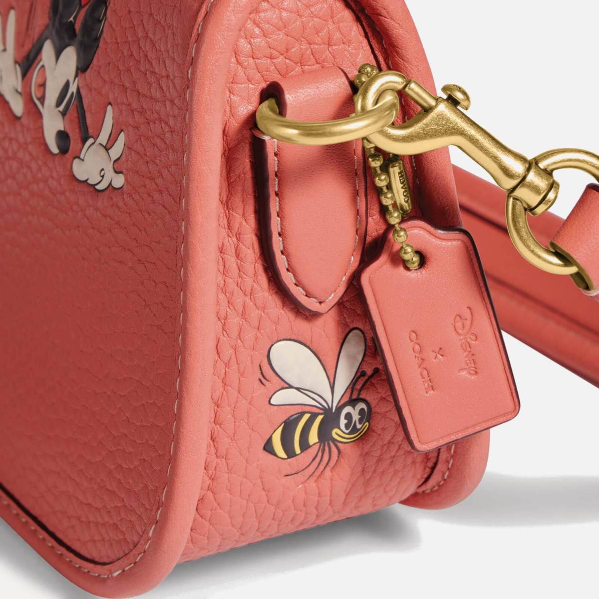 Coach x 迪士尼联名款是庆祝迪士尼一百周年，特别推出花