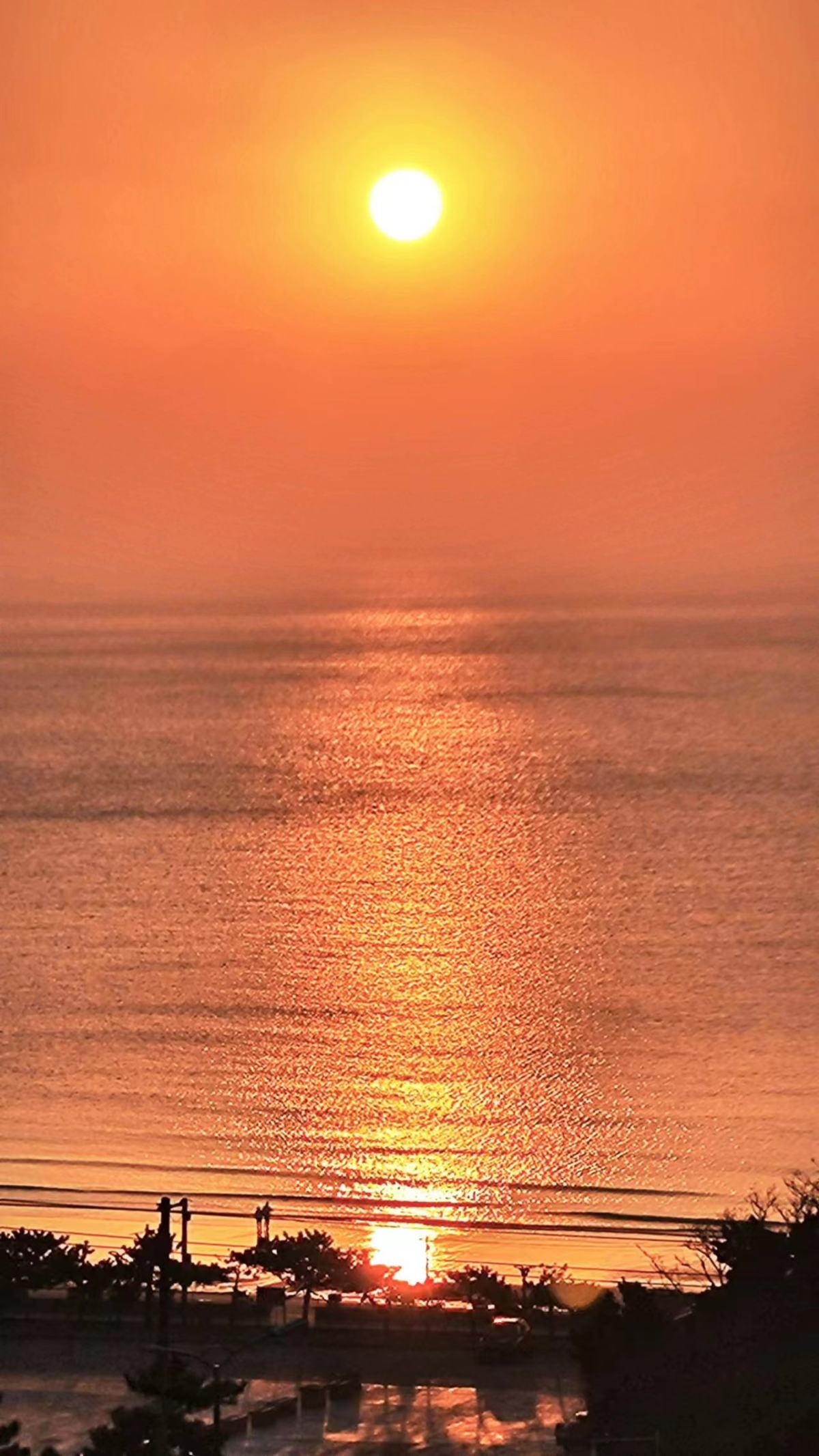 海淘败家始于YQ前，终于YQ，现恢复海淘，总体来说海淘的价格