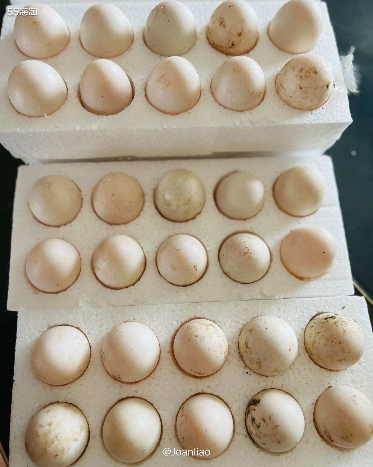 本来中午跟友人约了饭，快到下班时突然又跟我说临时有事来不了了