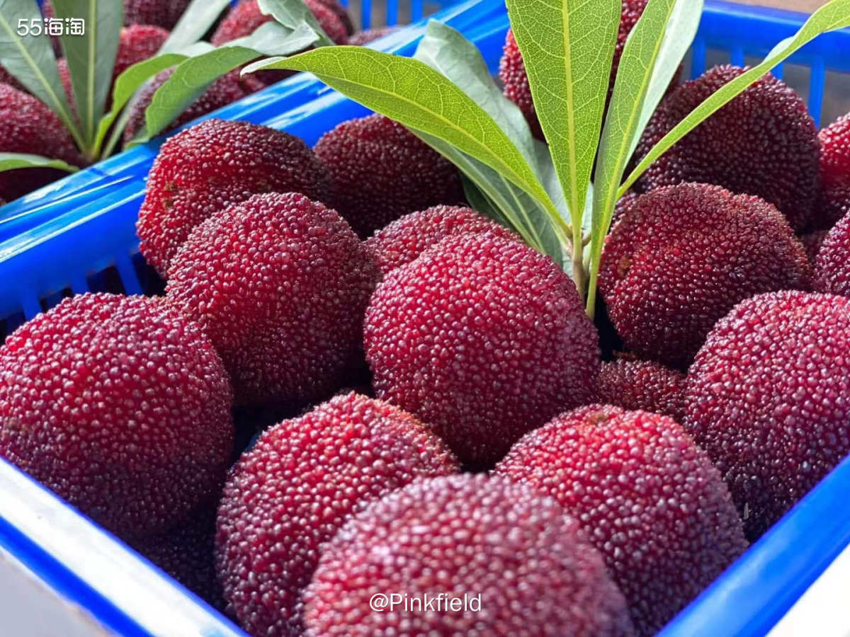 🍀夏天的水果品种真的太多了，这不，前阵子是吃杨梅的时候，家
