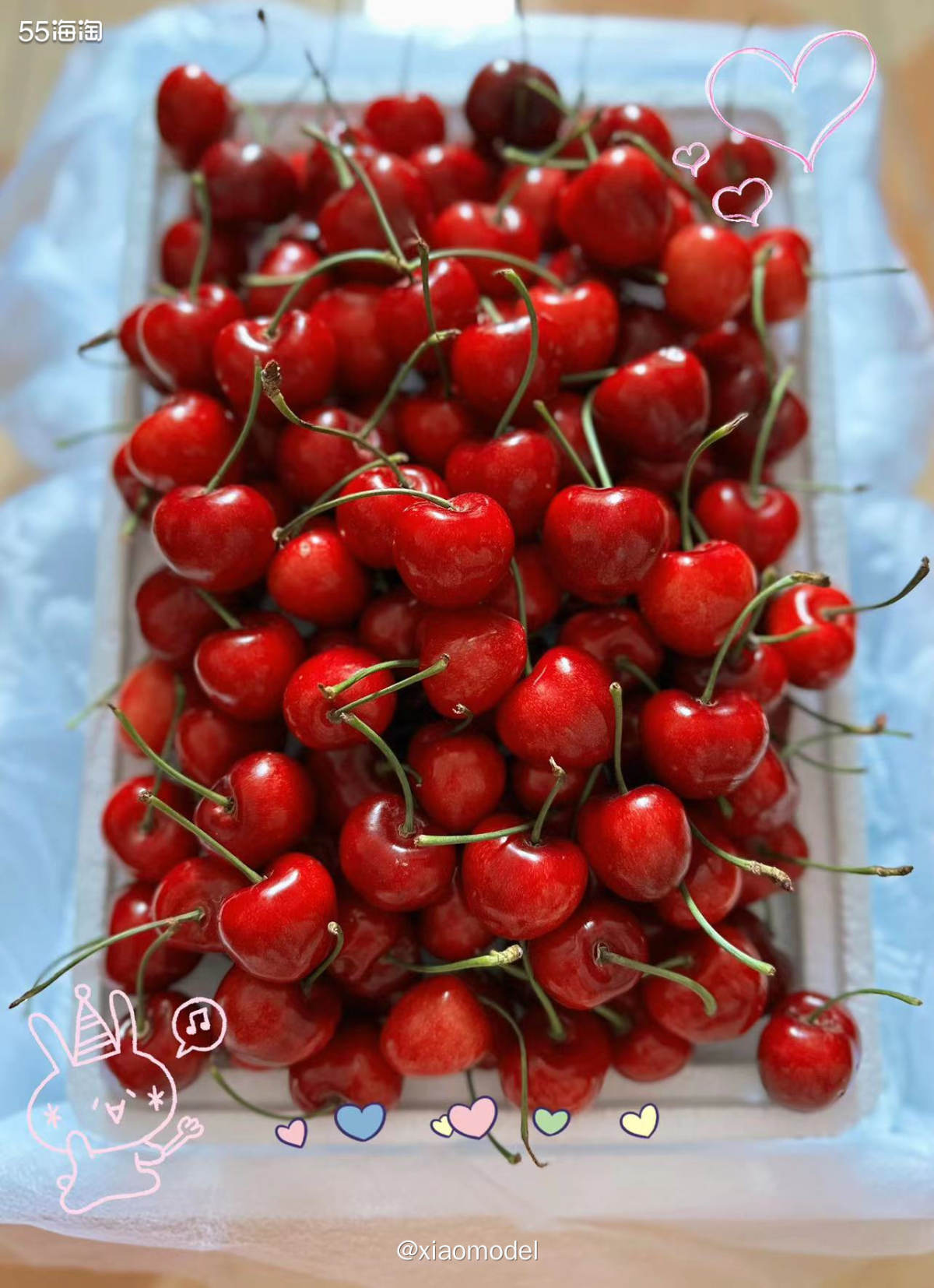😍每年6月最期待的就是大连陆地樱桃的成熟，其中我最最最期待