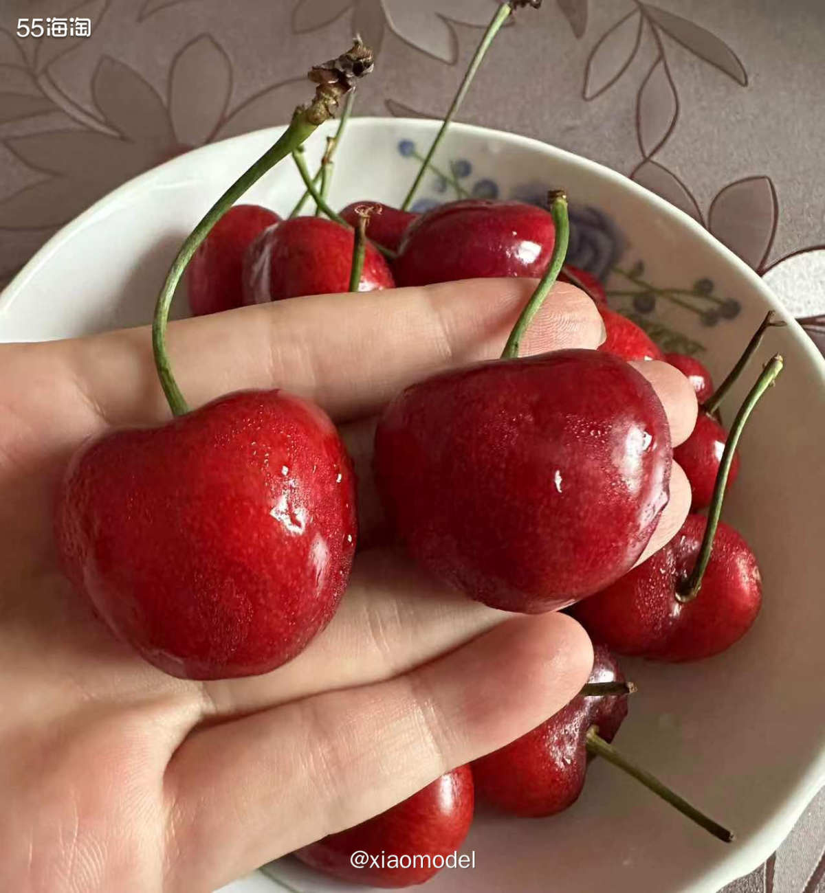😍每年6月最期待的就是大连陆地樱桃的成熟，其中我最最最期待