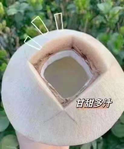 夏日水果，感觉椰子也是少不了的存在啊，不过家里吃吃还行出门还
