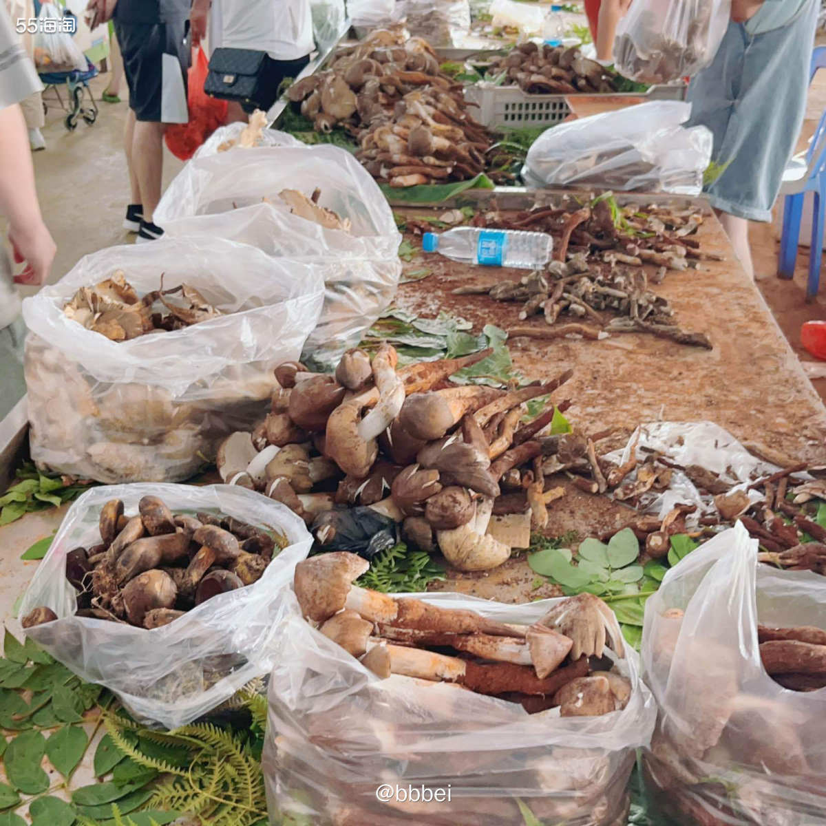 🌼野生菌市场 🍃 雨季地云南是不折不扣的菌子王国。中国的