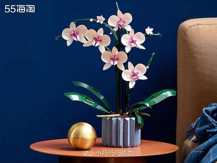 如果你是一个乐高爱好者，那么亚马逊一定是你不容错过的宝藏网站