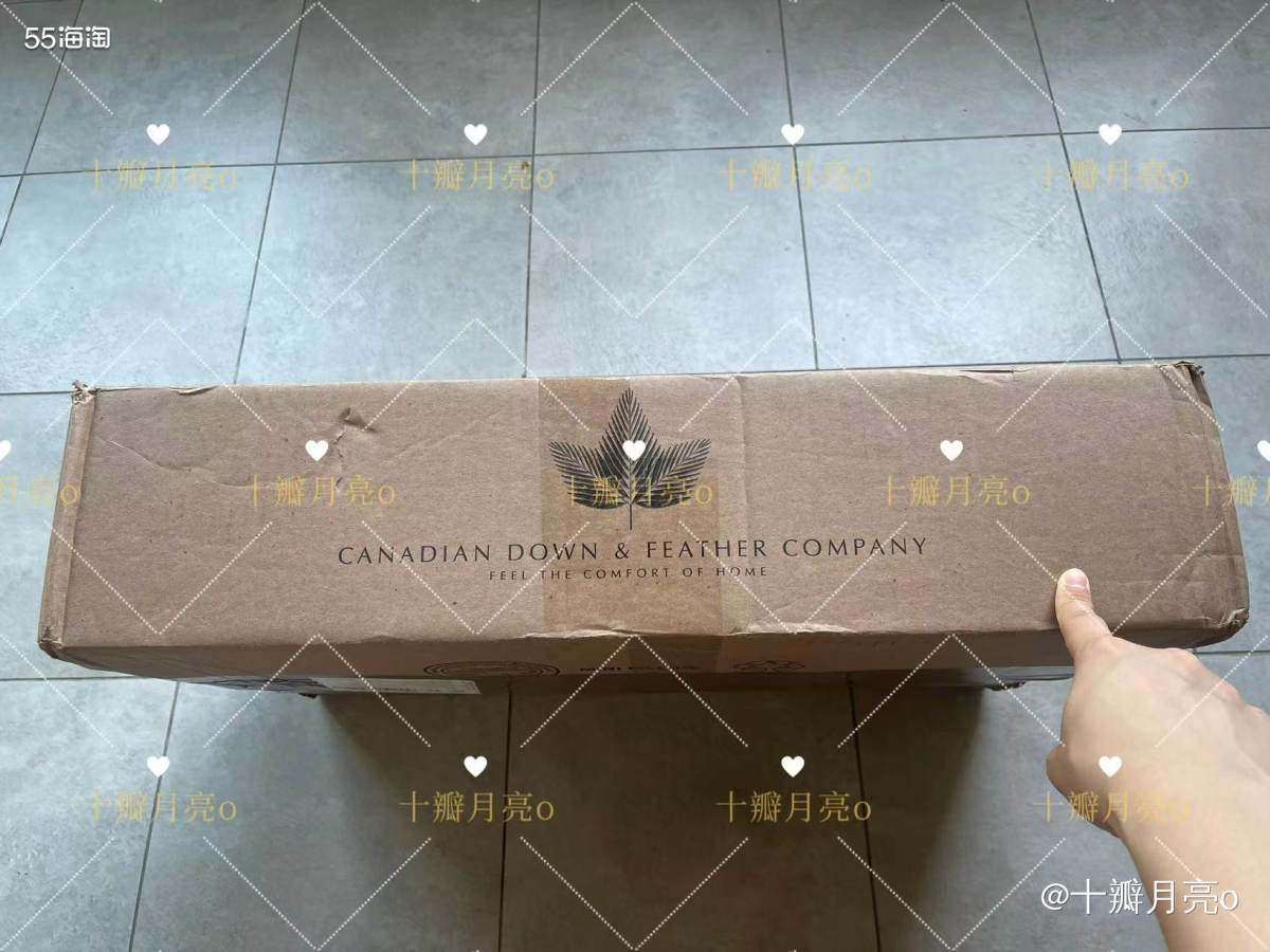 💦购买网站：CANADIAN DOWN & FEATHER