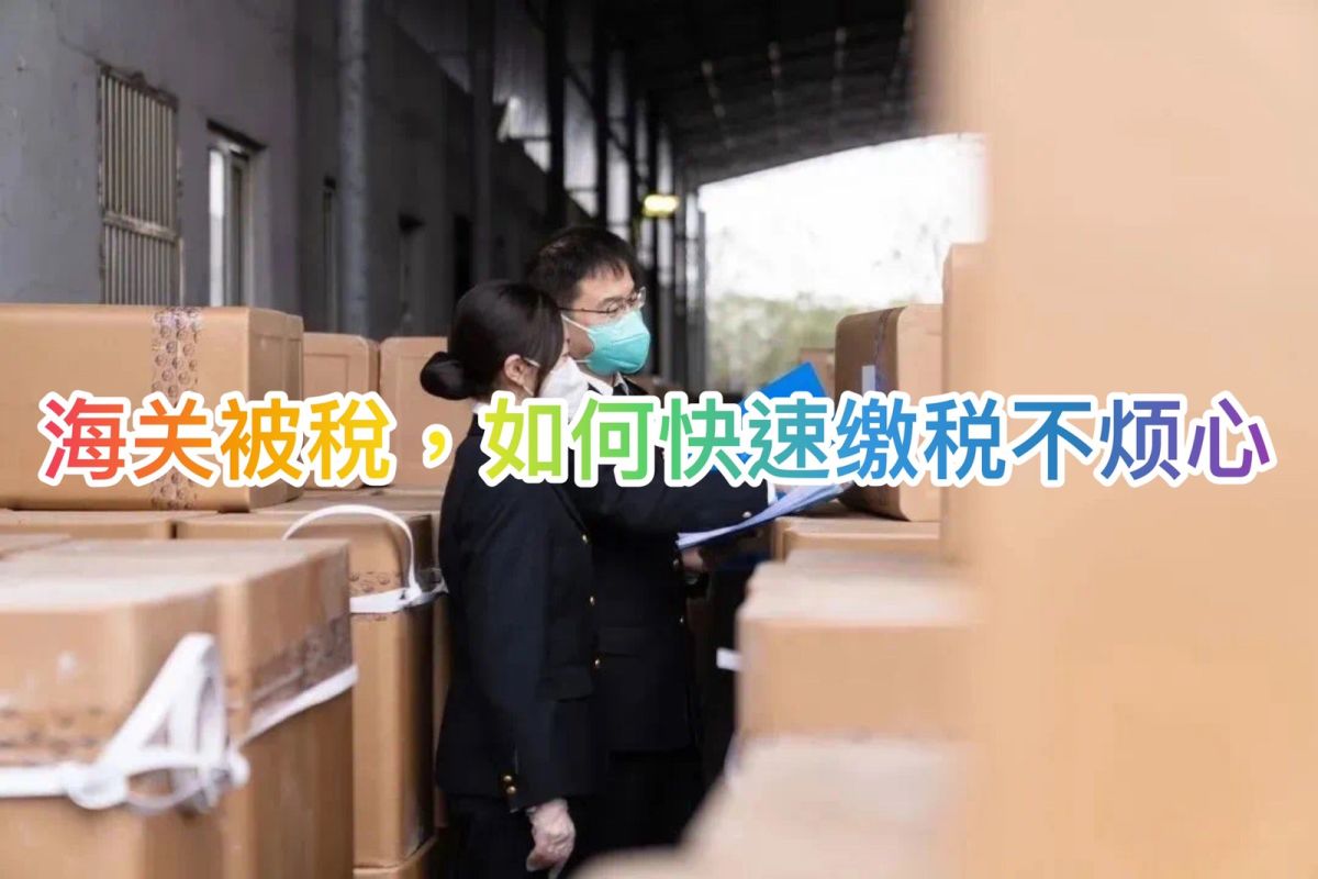 话说“常在河边走 哪有不湿鞋”？海淘时间久总有被稅的时候，那