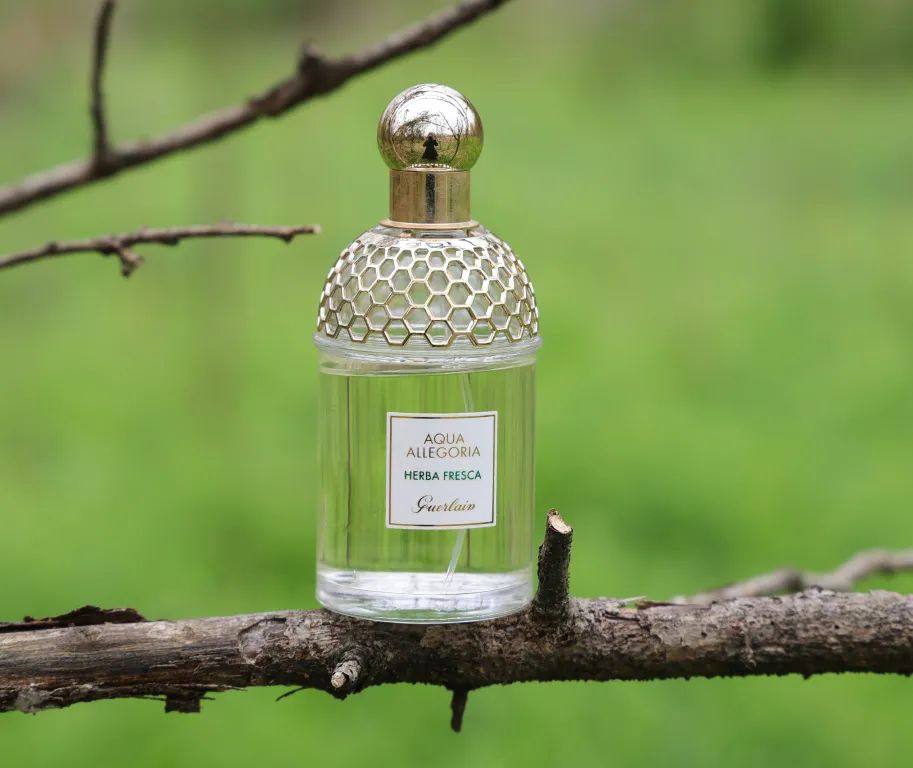 薄荷青草来自娇兰家的花草水语系列。这个系列的风格如同它的命名