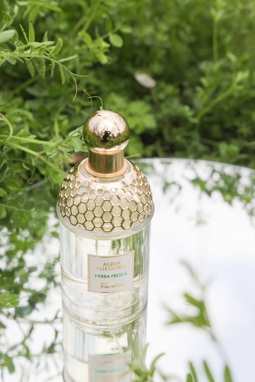 薄荷青草来自娇兰家的花草水语系列。这个系列的风格如同它的命名