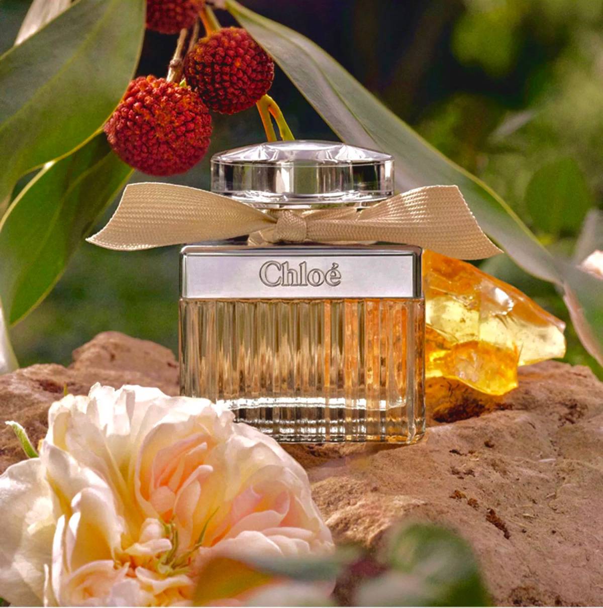 Chloe 蔻依 女士香水 肉丝带 EDP 50ml 前调：