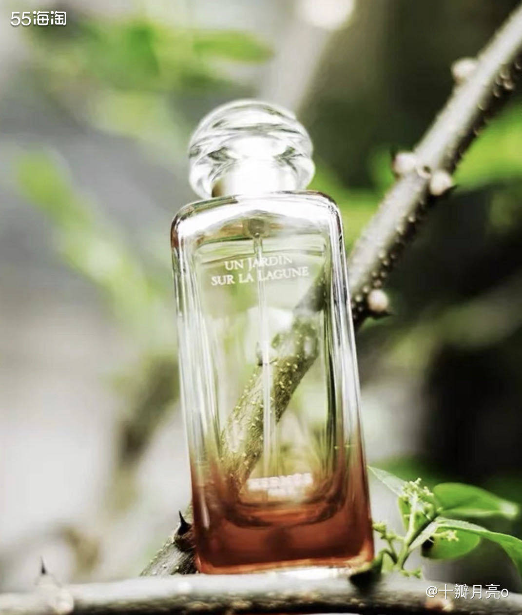 🌈 推荐单品: 爱马仕 泻湖花园 🌈 购买网站: Fra