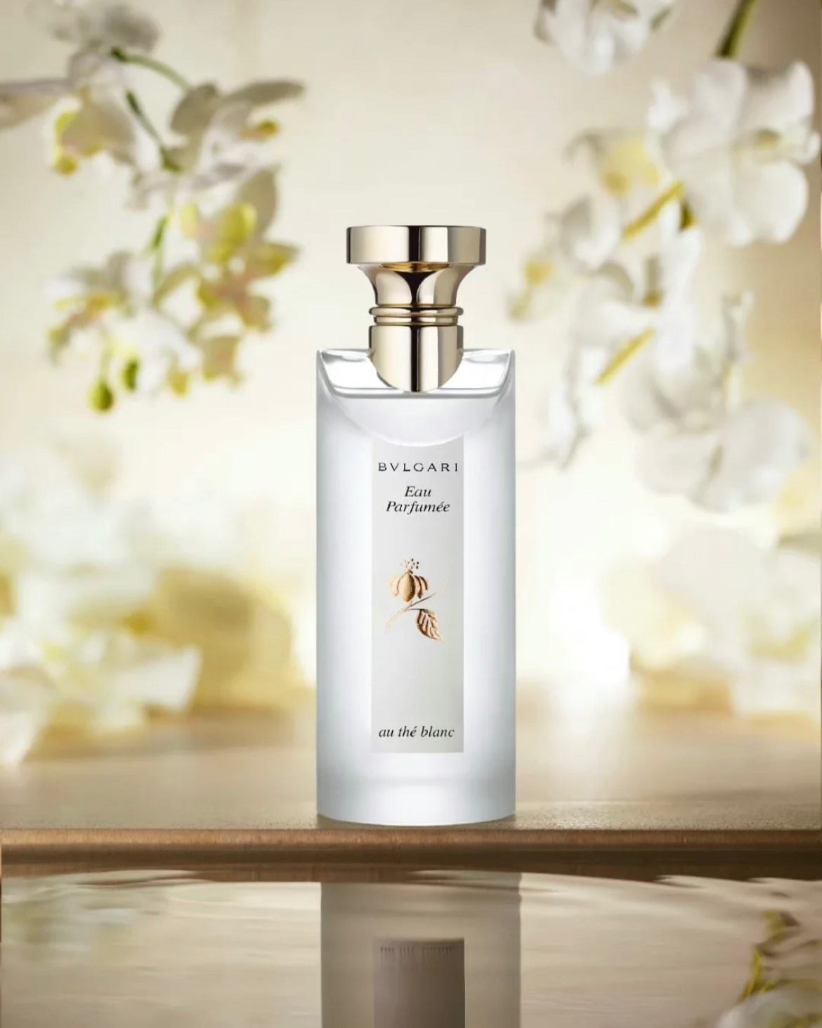 Bvlgari 宝格丽 白茶女士古龙水 75ml 香调：木质