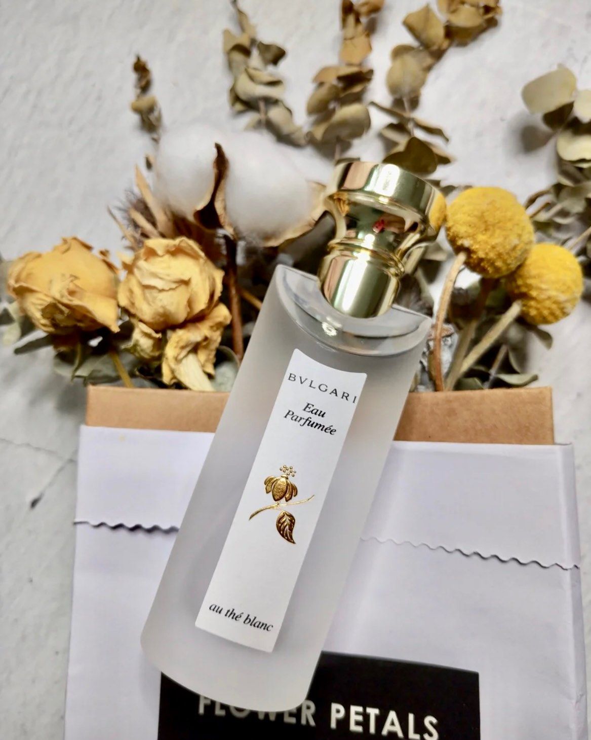 Bvlgari 宝格丽 白茶女士古龙水 75ml 香调：木质
