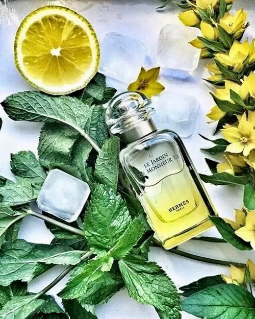 HERMES 爱马仕 李先生的花园 中性淡香水 EDT 10