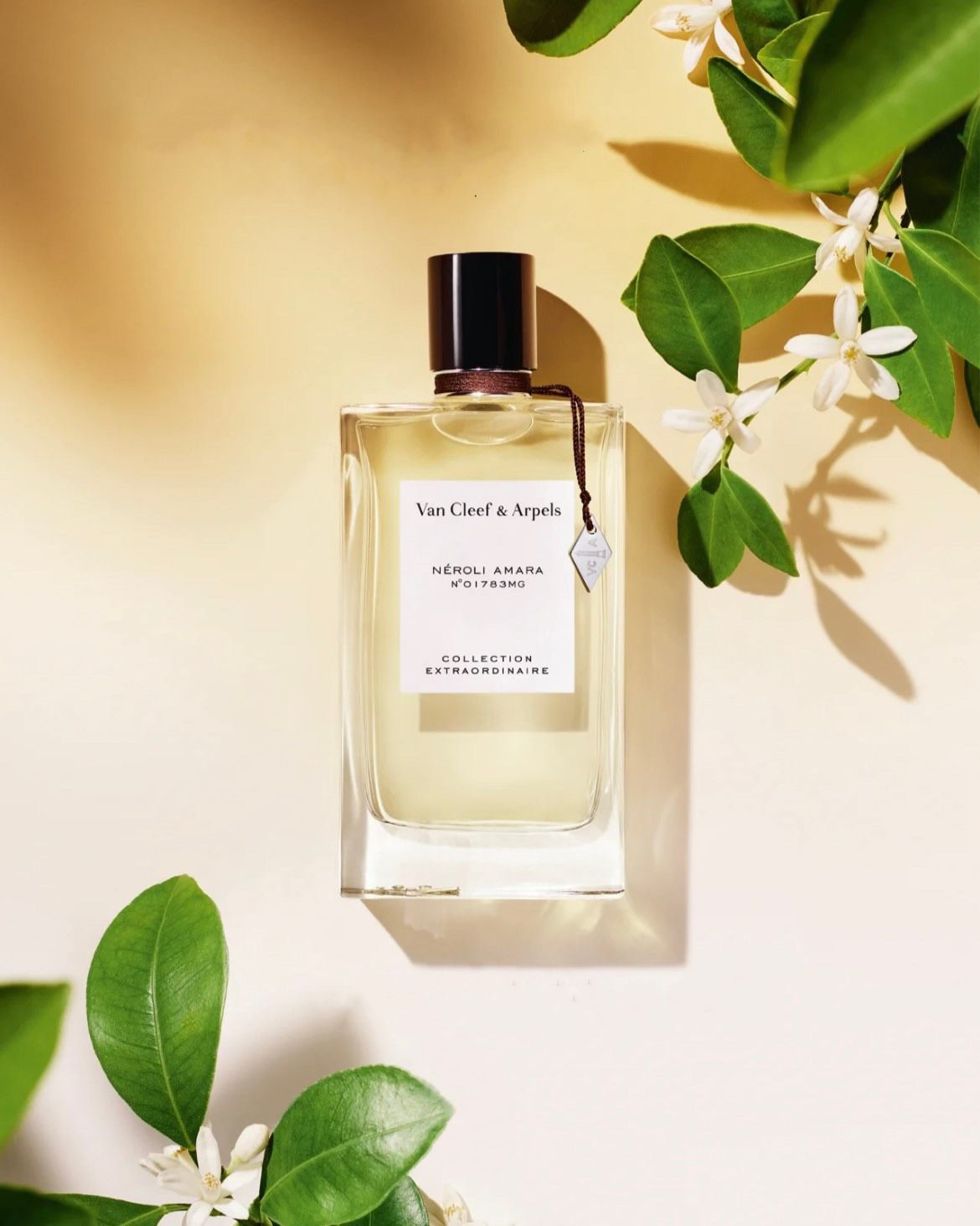 Van Cleef & Arpels 梵克雅宝 尼罗里橙花 