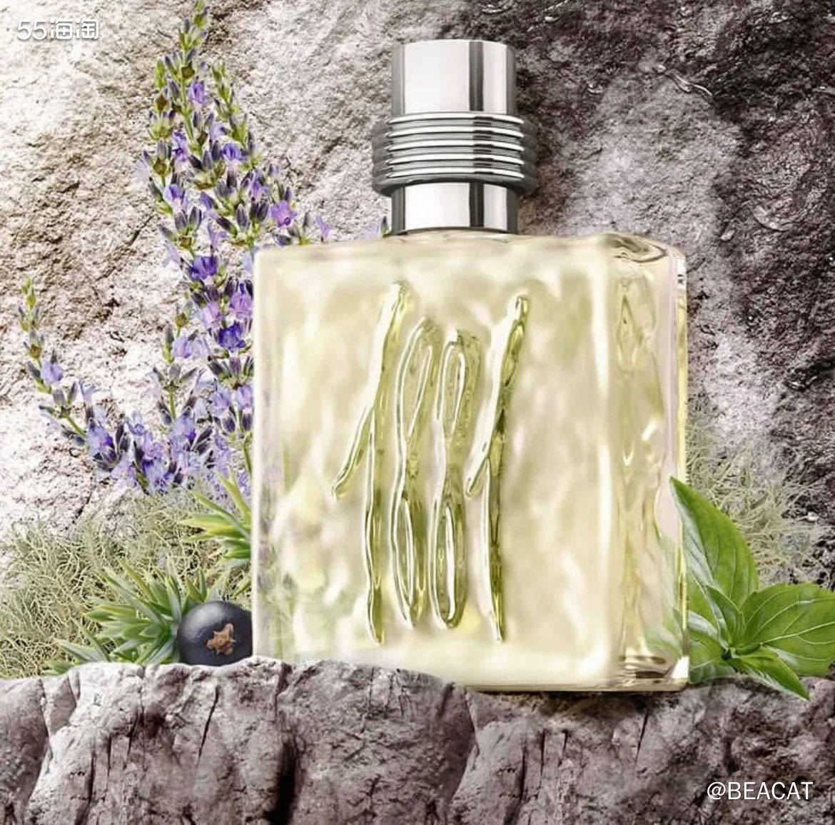 ✅网站：FragranceNet中文网 ✅活动：满120美金