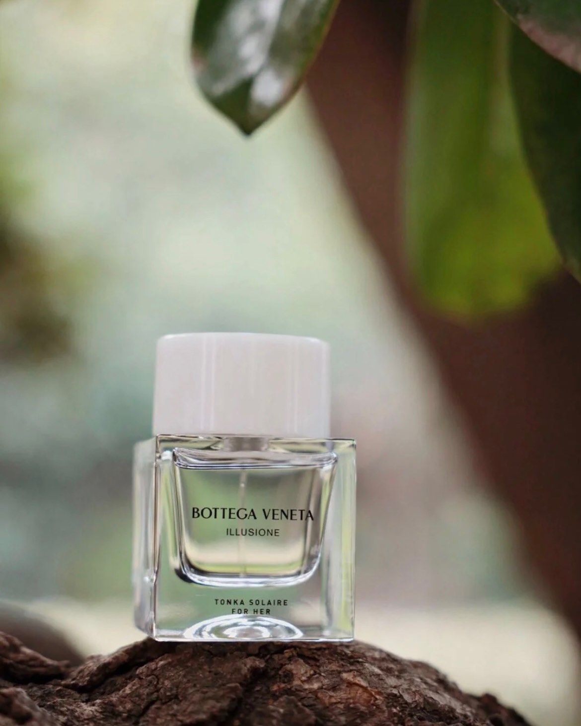 Bottega Veneta 葆蝶家 幻境之昱女士香水 ED