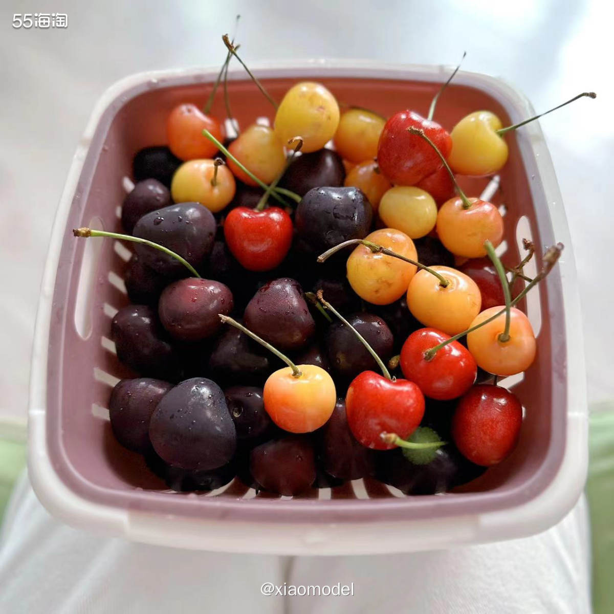❤️之前和大家分享过我每年必吃的大连樱桃萨米托，好多人都没吃