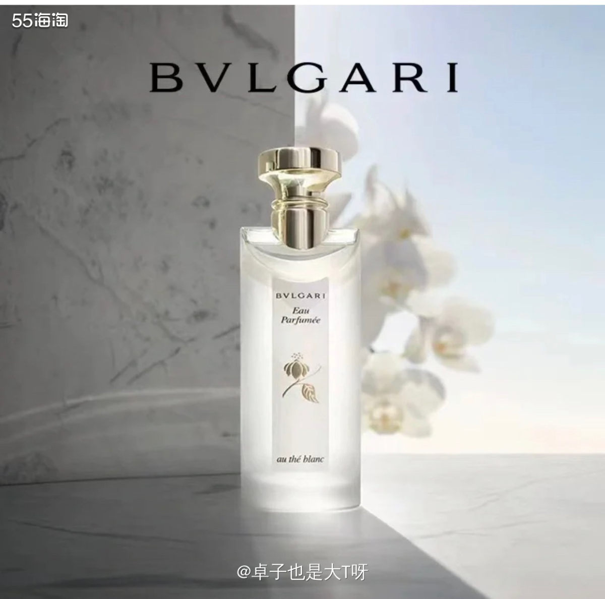 🪵经典长存的宝格丽白茶谁还没有！盲买不后悔的神仙清冷文艺茶