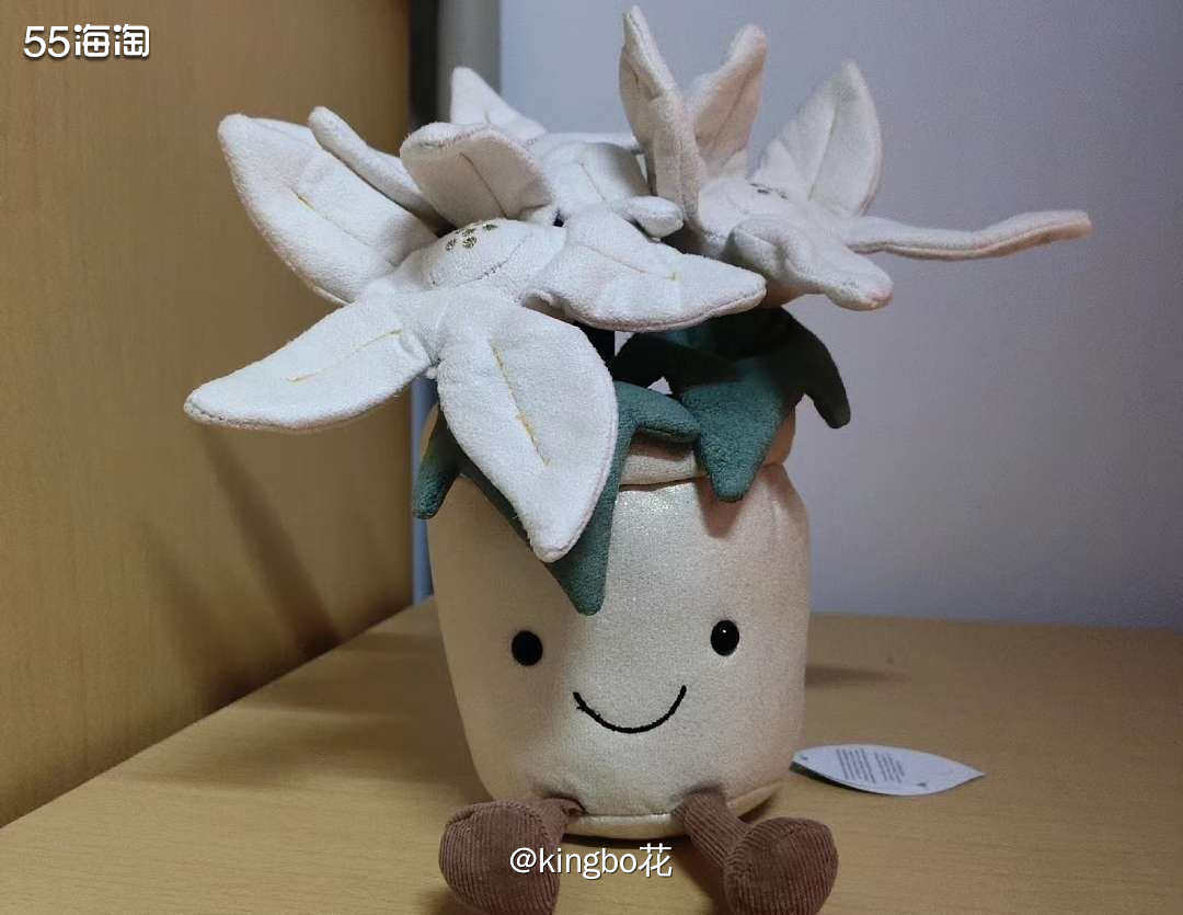 剁手jellycat一品红，盆栽那么可爱要买买买  大概是抱