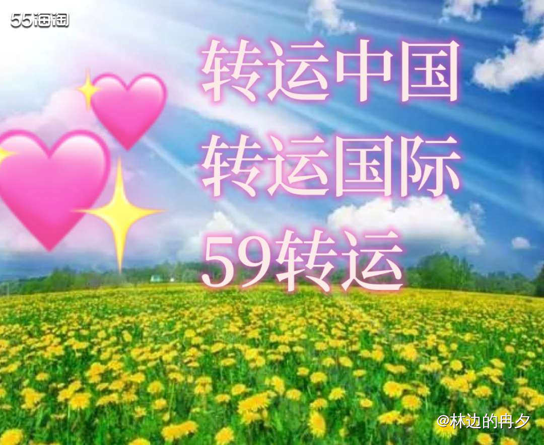 自从中环不能再使用之后，除了经常使用的转运国际，我又再次使用
