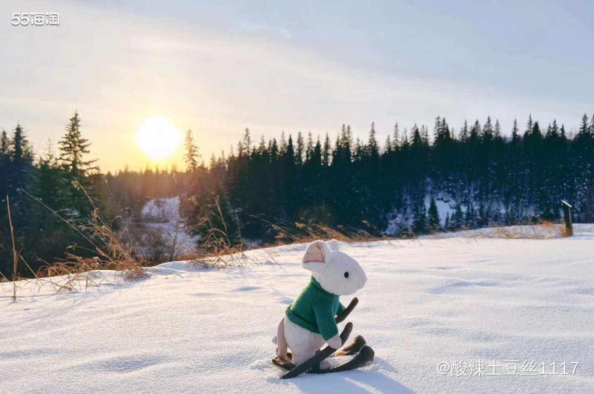 这个小老鼠滑雪真的是让我一秒到冬天的感觉。圣诞节那种氛围感非