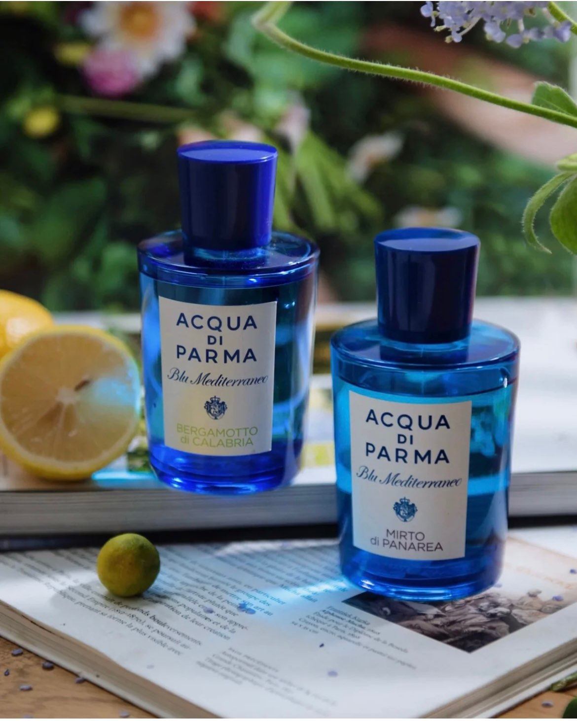 Acqua di Parma 帕尔玛之水 蓝色地中海 桃金娘