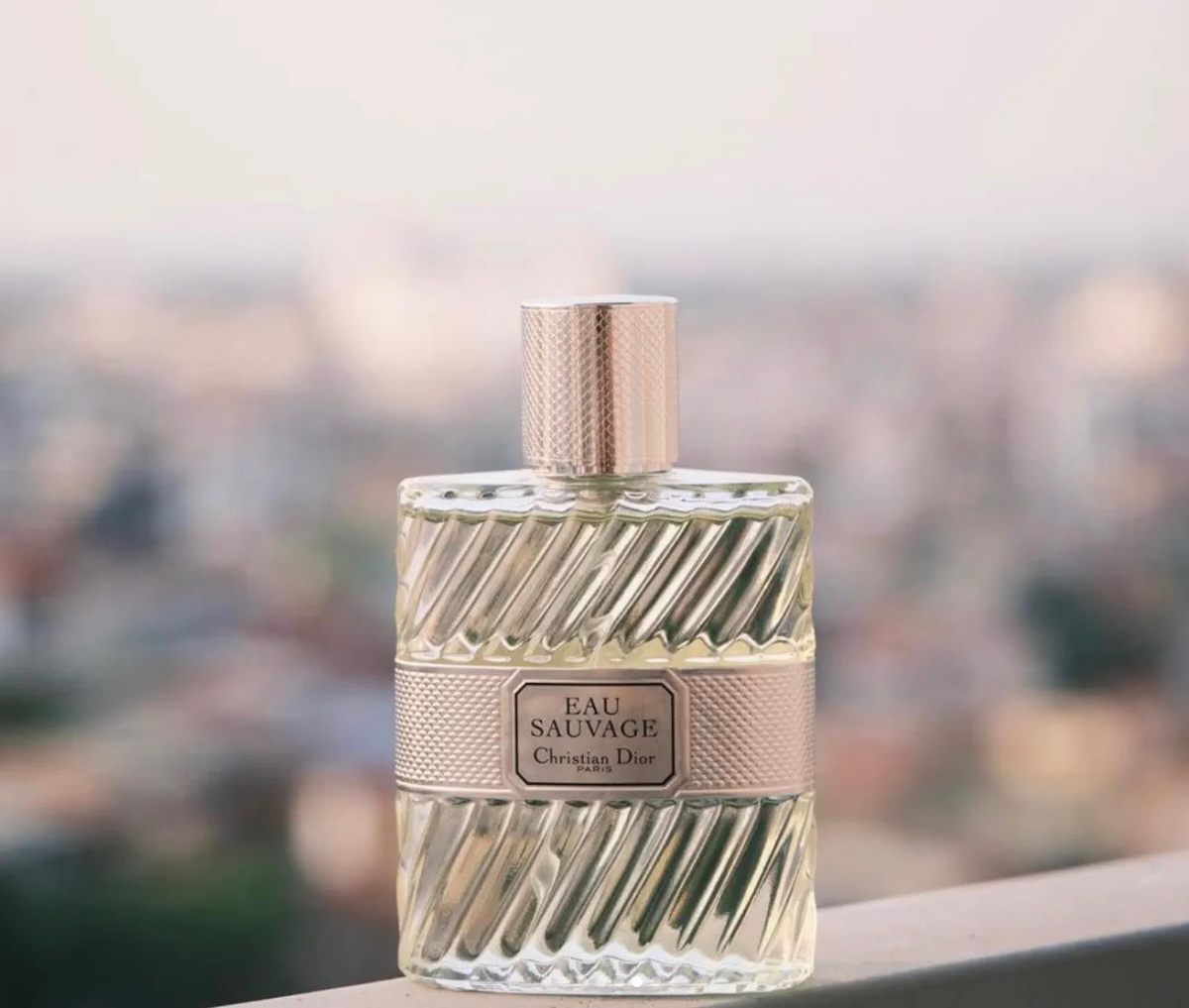 Christian Dior 迪奥 清新之水男士淡香水Eau